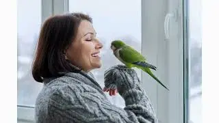 5 Essential Tips for First-Time Bird Owners!!!