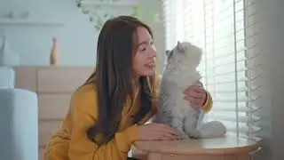 10 Easy Tips to Gain Your Cat&rsquo;s Trust | Build a Stronger Bond!