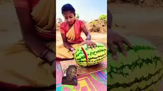 #juice #watermelonjuice #fruit #watermelon #watermelone #balloon #juicelover #food #youtubeshorts