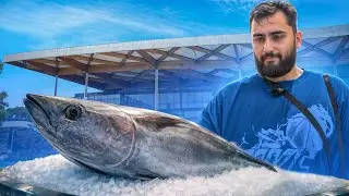 I Tried Sydney&rsquo;s $835 MILLION DOLLAR Fish Market - $835 million dollars&hellip; for fish?!