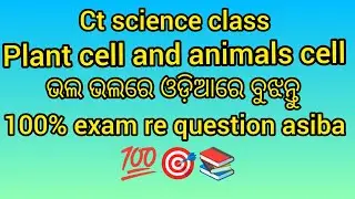 Plant cell and animals cell for CT exam science class.#ctexam#teaching #scienceclass#splittleworld