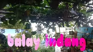nature vibes @BALAY INDANG (The Red Ginger Farm)