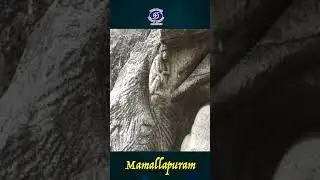 Mamallapuram - The Cradle of Temple Architecture | World Heritage Monuments of India | Ep. 07