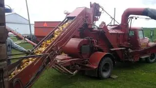Shelling Corn #2016
