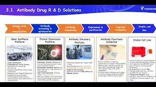 2025-09-04-Tsingke Biotech: Solutions for Antibody Durg Development