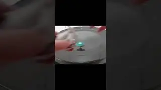 Beyblade Metal Master Rock Leone vs. Meteo L Drago #rockleone #ldrago #beyblademetalmasters