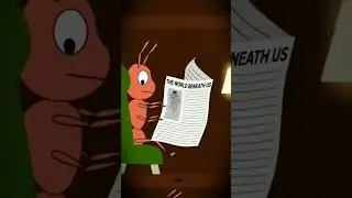 Ant house ll biggest ant house ll Brazil #ant #anthouse #brazil #viral #shorts