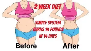 2 Week Diet - Plus 3 FREE Fast Action Bonuses