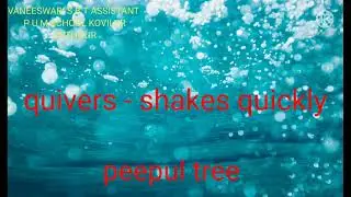 VI English. The Trees (poem)