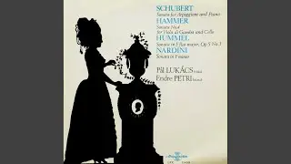 Sonata for Arpeggione and Piano II. Adagio