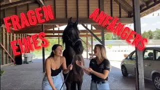Fragen eines Reitanfängers Teil 2