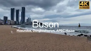 Just Walking 32 &ndash; Haeundae, Dongbaek Island, APEC House | Busan Walking Tour | 4K