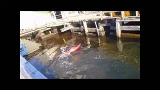 Kayak Seal Launch - Kayaking Roll