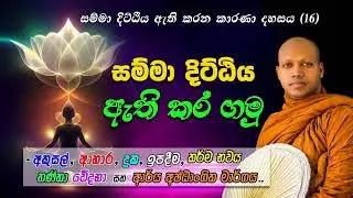 👌සම්මා දිට්ඨිය ඇතිකර ගතහැකි ආකාර 16 (-මිසදිටුවෙන් මිදෙන හැටි) -සතුට සැනසුම ලබන පළමු පියවර අරිඅටගි මග