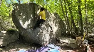 Plastic Psyche V1 Moore's Wall