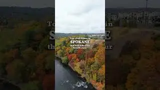 Top 3 fall hikes in SPOKANE!