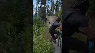 That left him bear-y surprised  🐻 DJI Osmo Action 4 🎬 @jameskimpro #mtb #shorts #bear