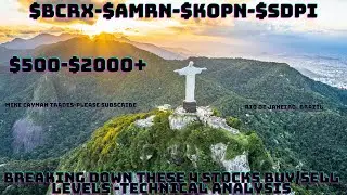 $BCRX-$AMRN-$KOPN-$SDPI-$500-$2000-Technical Analysis-Buy/Sell Levels