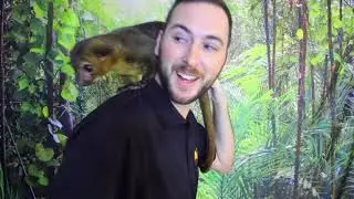 Animal Tales Virtual Programs