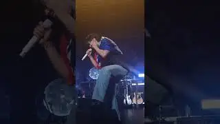 N.flying Songbird in Paris