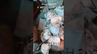 SHEIN western try on haul 😳 SHEIN HAUL