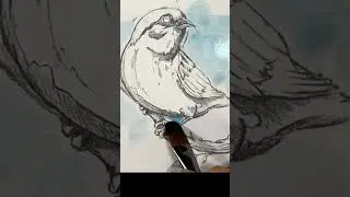 Watercolor Painting of a Sparrow, #shorts