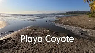 RUTA DE VAINILLA POR LA CUESTA HASTA PLAYA COYOTE.@losvideosdefelix