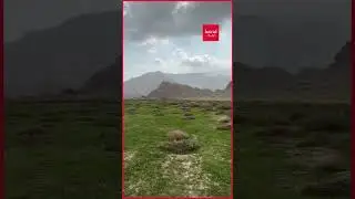 RAK&rsquo;s Mountains Turn Green After The Rain