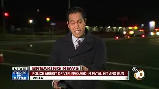 Police arrest driver involved in fatal hit-and-run