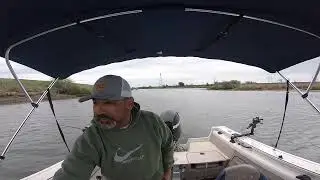 STRIPER frenzy