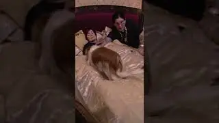 Оззи Осборн не хочет, чтобы собаки спали на кровати.