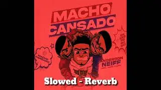Macho Cansado (Slowed - Reverb) - Anderson Neiff