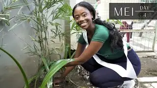 Miss Environment International 2025 Explores Manila: