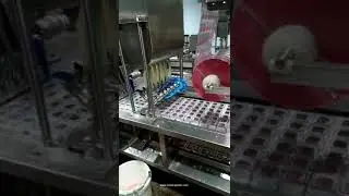 Automatic high speed 6 lanes jelly cup capsule filling sealing packing machine video