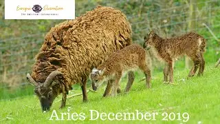 Aries December 2019