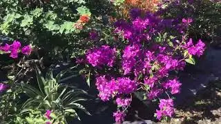 My visit to the Nursery.