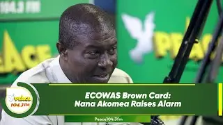 ECOWAS Brown Card: Nana Akomea Raises Alarm