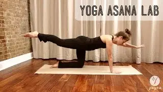 Yoga Asana Lab: Elephant Trunk Poses