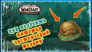 ГАЙД ЗАСТЕНЧИВЫЙ МЕЛВИН (ПИТОМЕЦ) 🔥 SHY MELVIN GUIDE