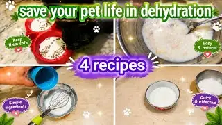 Dehydration In Cats || signs of dehydration in cats || How to Keep your cat hydrated at home