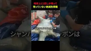 地球上に2匹しか残っていない絶滅危惧種