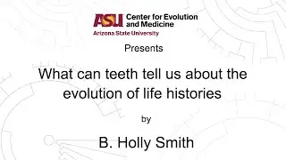 What can teeth tell us about the evolution of life histories? | B. Holly Smith