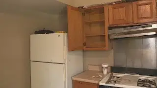 Apartment of horrors: Tenant dealing with unsafe conditions, insect infestations