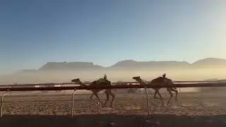ش٣. بكار حقايق (( نوف )) ل سند هارون البدول 