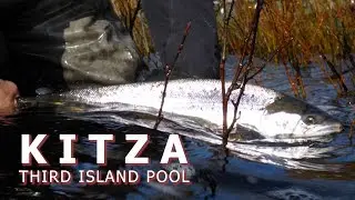 Kitza - Third Island Pool - Atlantic Salmon in Russia