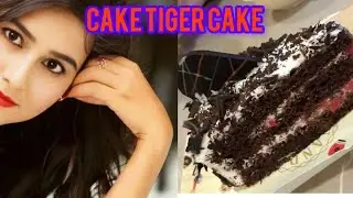 Tiger cake full recipe video YouTube viral video viral video subscribe