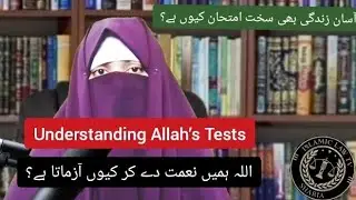 True Honor Is Not Wealth | قرآن سے سبق #islam #islamiclectures #islamicreminder #islamicmotivation 