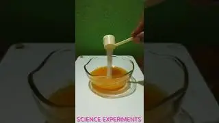 𝙏𝙪𝙧𝙢𝙚𝙧𝙞𝙘 𝘼𝙨 𝙉𝙖𝙩𝙪𝙧𝙖𝙡 𝙄𝙣𝙙𝙞𝙘𝙖𝙩𝙤𝙧.Science Experiment| Mamata Naik.