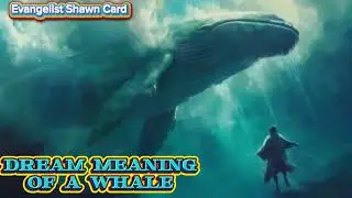 DREAM MEANING; DREAM INTERPRETATION OF A WHALE. 