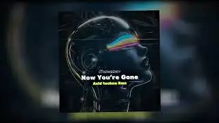 STR&Oslash;WBERRY - Now You're Gone (Acid Techno Remix)